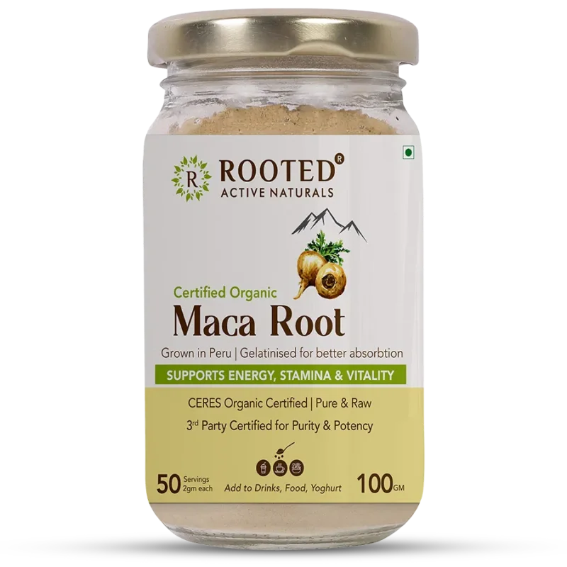 Hot Picks Rooted Actives Maca Root Extract powder (100 g) Stamina, Virility, Hormonal support Imported from Peru, Certified Organic, Gelatinised