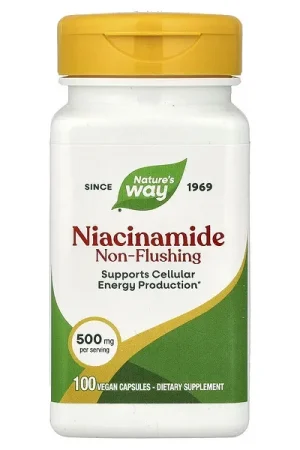 Nature‘s Way, Niacinamide, Non-Flushing, 500 mg, 100 Capsules Fresh Stock
