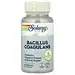 Price Cut Solaray, Bacillus Coagulans, 60 VegCaps
