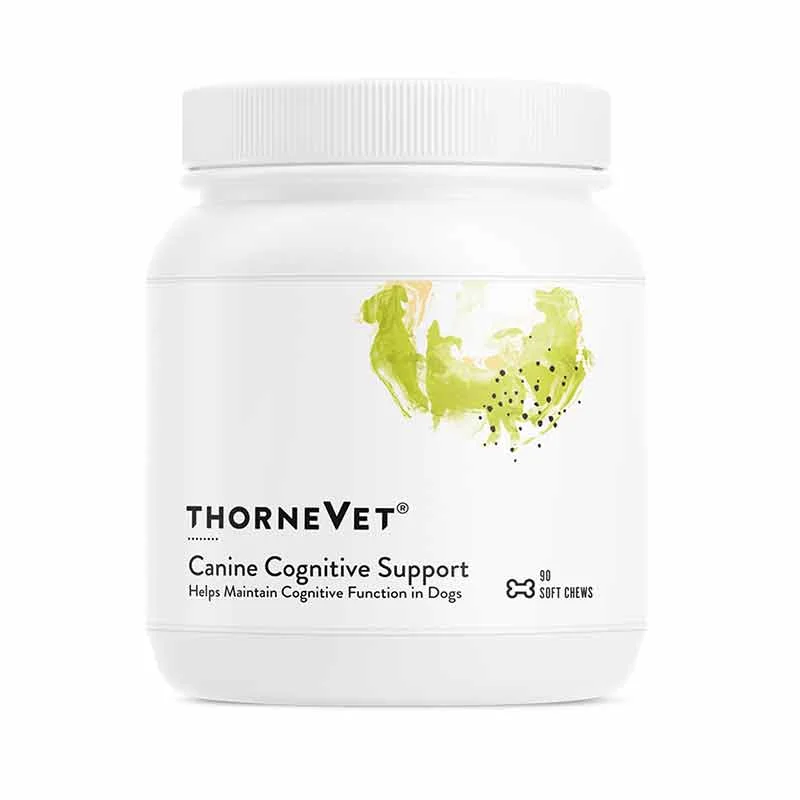 Buy Direct Canine Cognitive Support