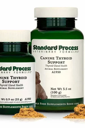 Canine Thyroid Support Express Delivery