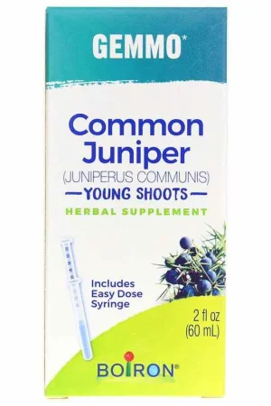 Gemmo Common Juniper - Young Shoots Clearance