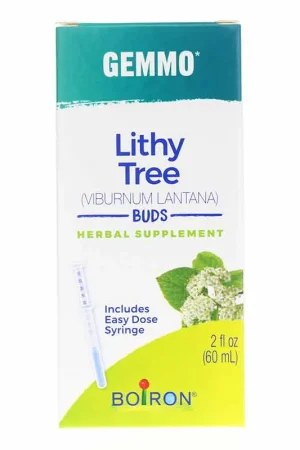 Gemmo Lithy Tree - Buds Buy Direct