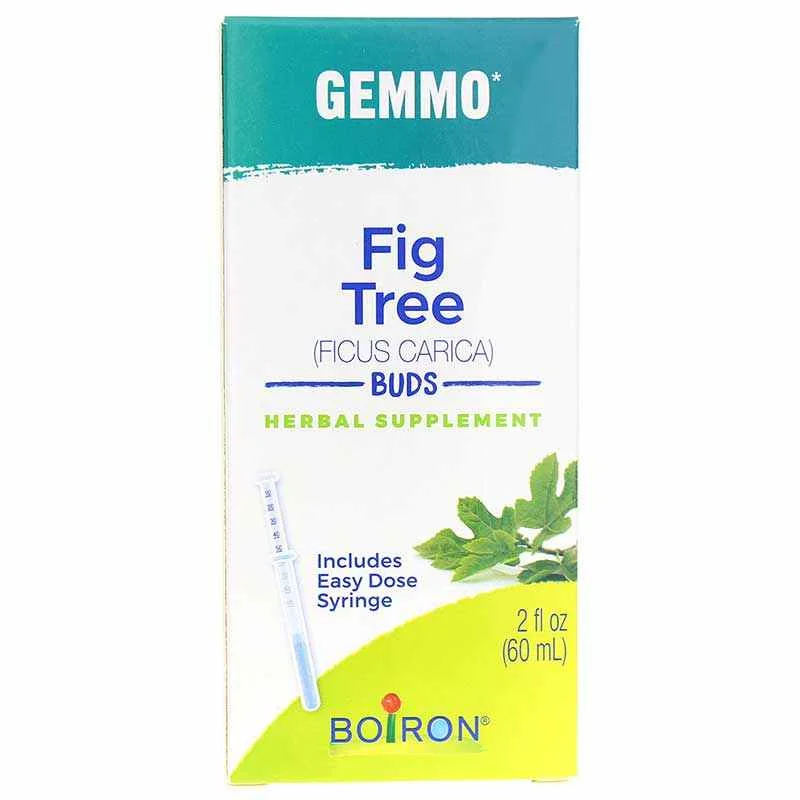 Reduced Price Gemmo Fig Tree - Buds
