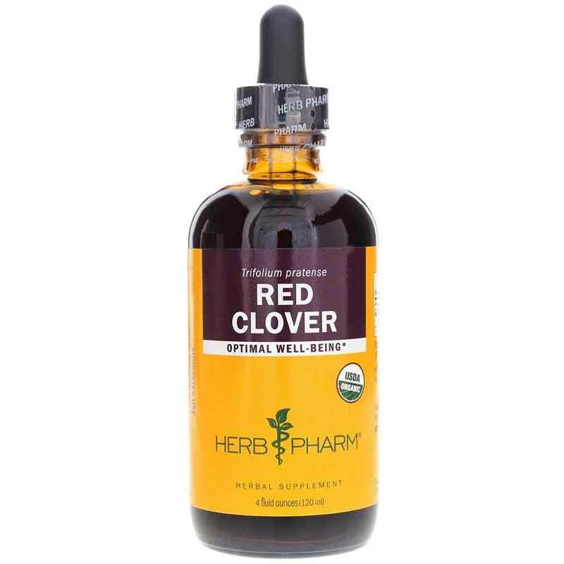 Red Clover Extract Low Price